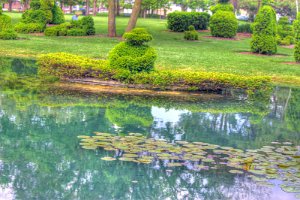 Topiary 2